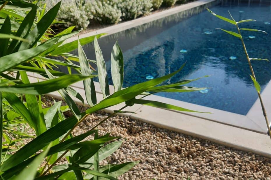 1755775142 1aec35fb83705ea087d8