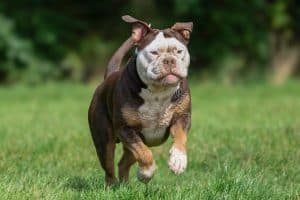 ga6c75f6e2eb1f638f7e1ea03468770242863cfe47a1863fc8f214a5d9c0dbcd7a381d005b44459f9f0b72cca6f16cd5011b5e54f923b30f9144fbd276acd5fe6 640