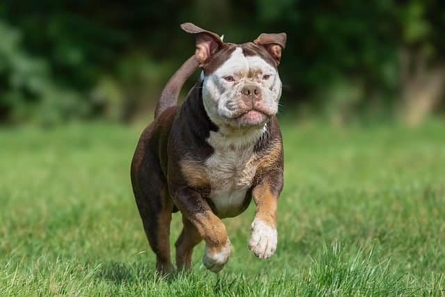 ga6c75f6e2eb1f638f7e1ea03468770242863cfe47a1863fc8f214a5d9c0dbcd7a381d005b44459f9f0b72cca6f16cd5011b5e54f923b30f9144fbd276acd5fe6 640